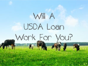 will-a-usda-loan-work-for-you
